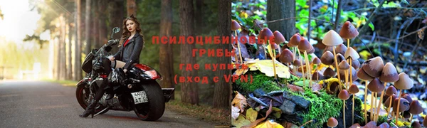 мяу мяу мука Алексеевка