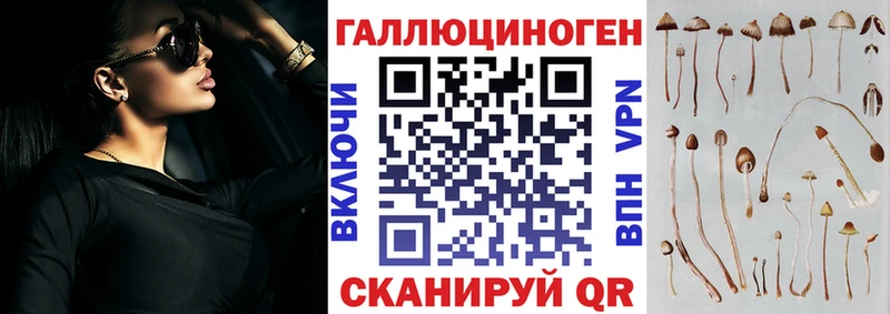 Галлюциногенные грибы Psilocybine cubensis  Новоуральск 