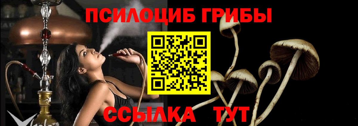 Галлюциногенные грибы Magic Shrooms  наркотики  Галлюциногенные грибы прущие грибы  Новоуральск  Вход с VPN 